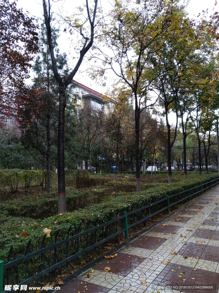 雨天的街道