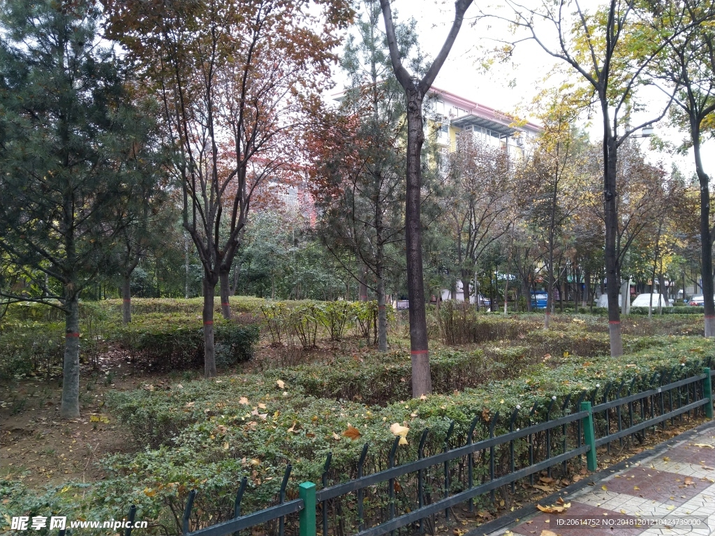 城市街道风景