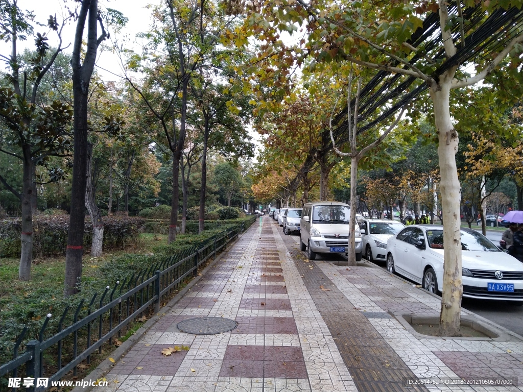 雨天的城市街道