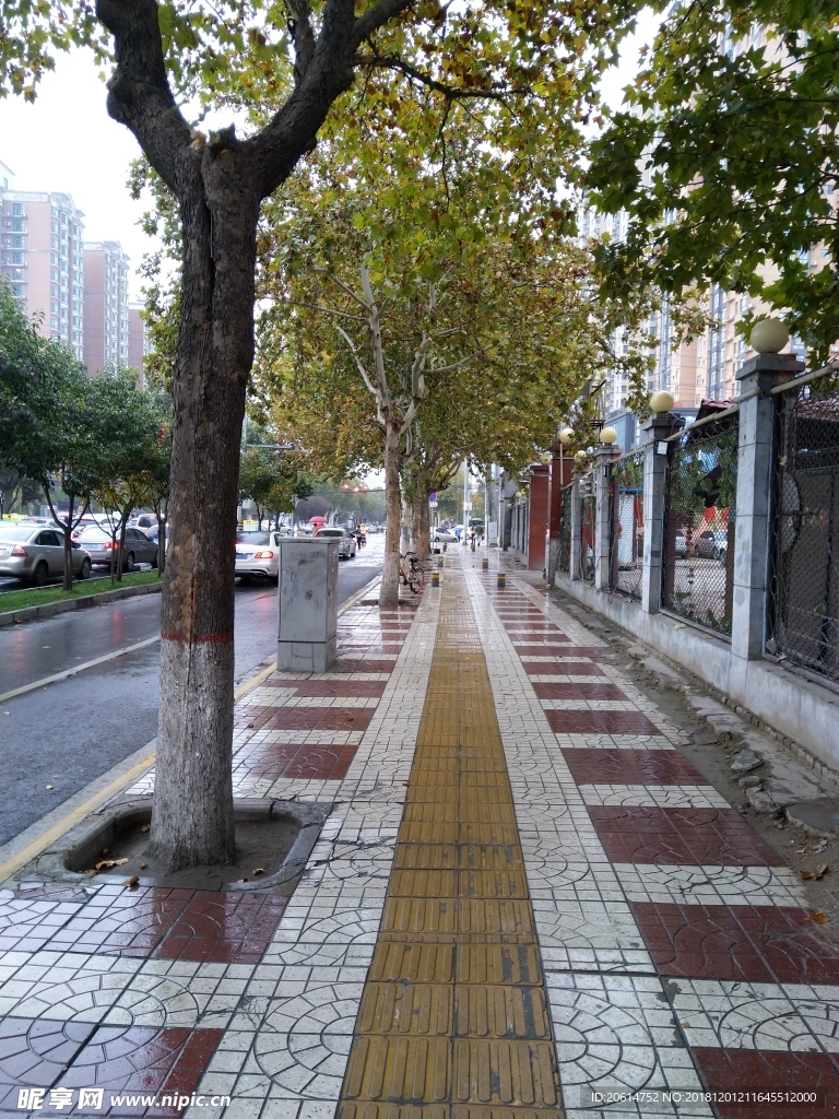 雨天的城市街道