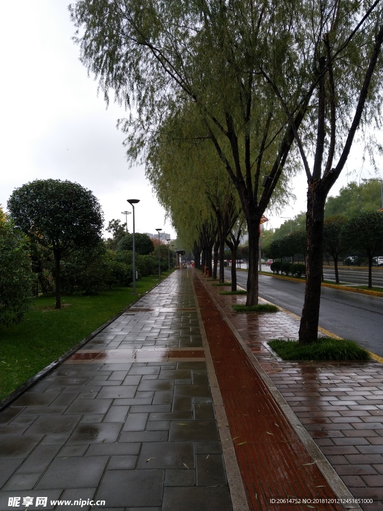 雨天的城市街道