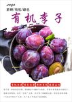 李子海报