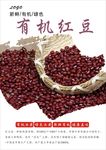 红豆海报