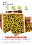绿豆海报