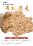 燕麦海报