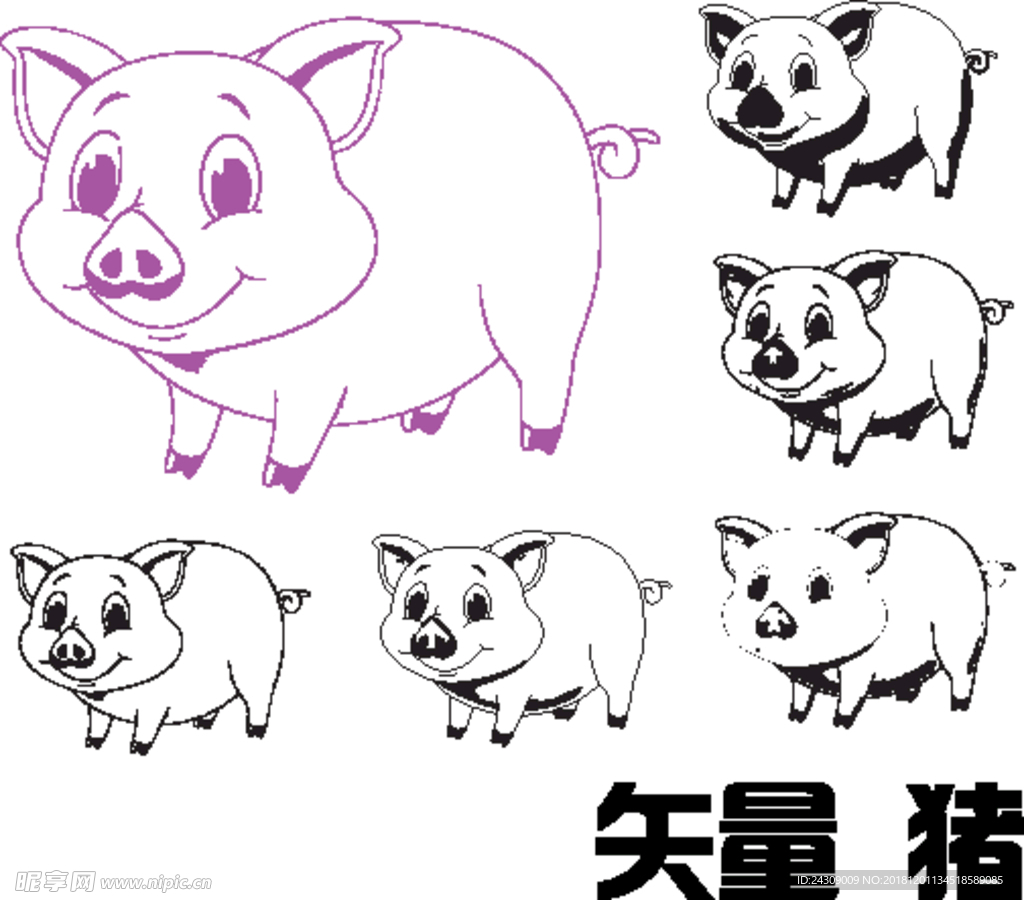 猪