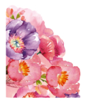 鲜花素材