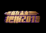把握2019