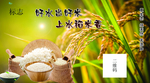 大米