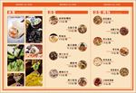水饺馆三折页