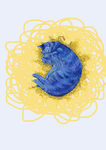 沉睡的插画猫