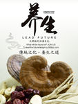 养生海报