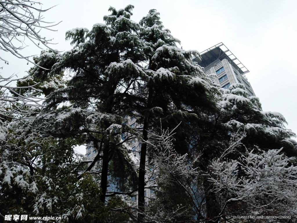 城市雪景