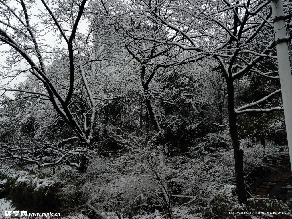 城市雪景