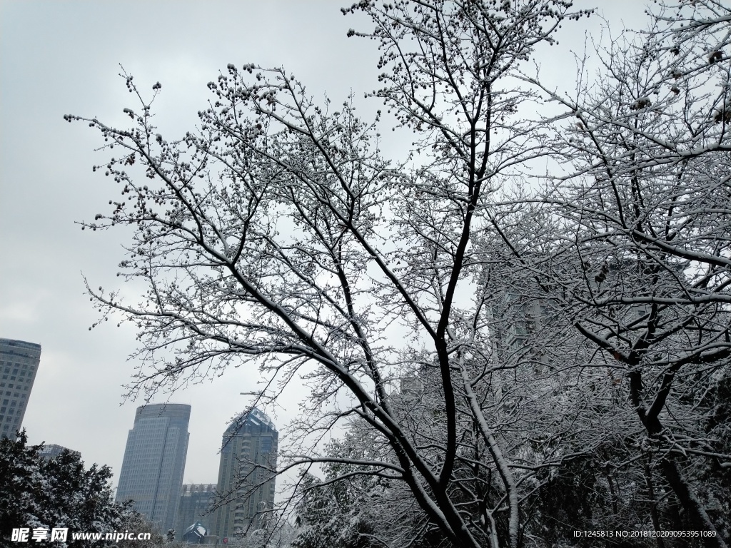 城市雪景