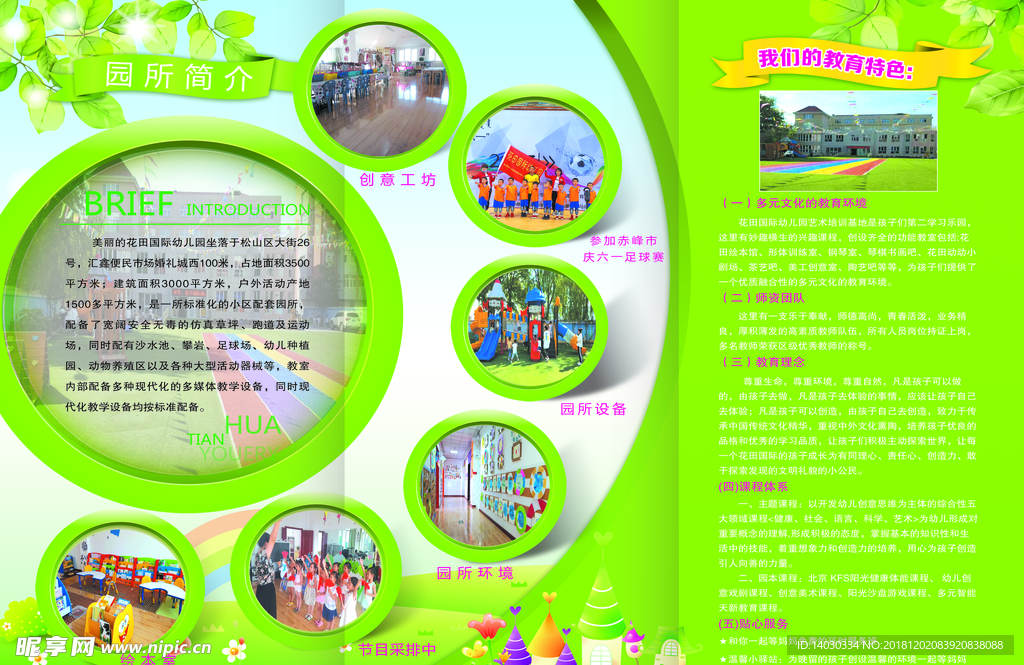 幼儿园  宣传单   卡通