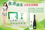 酵素宣传单
