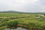 田野
