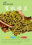 绿豆海报