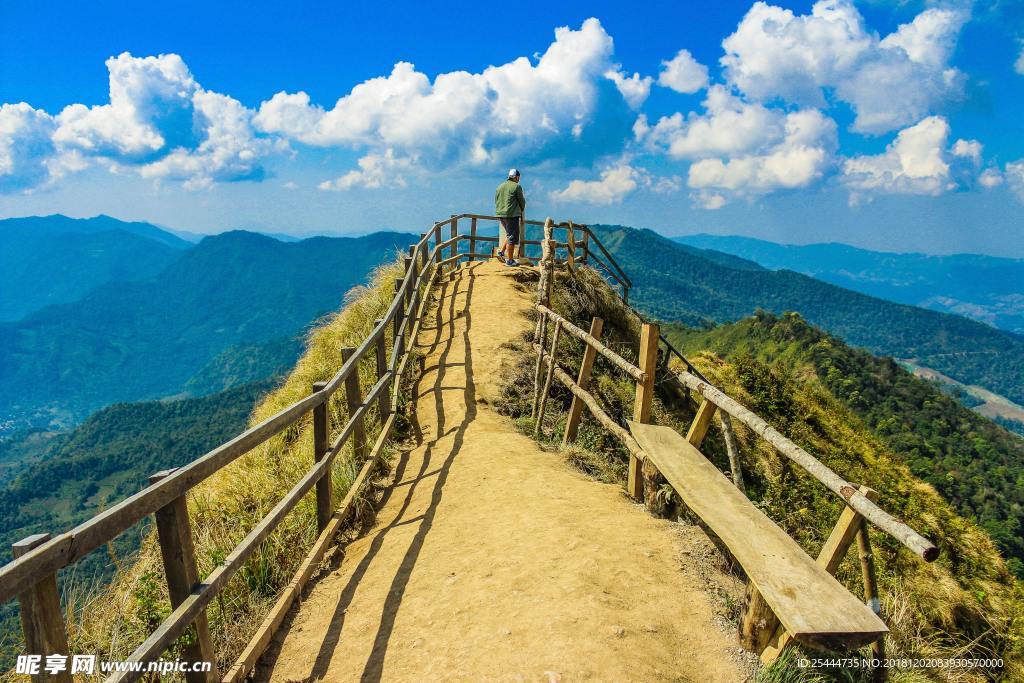 风景