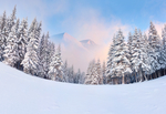 冬天雪景