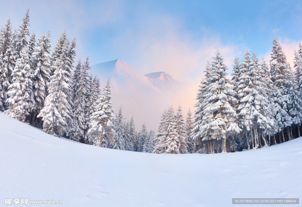 冬天雪景