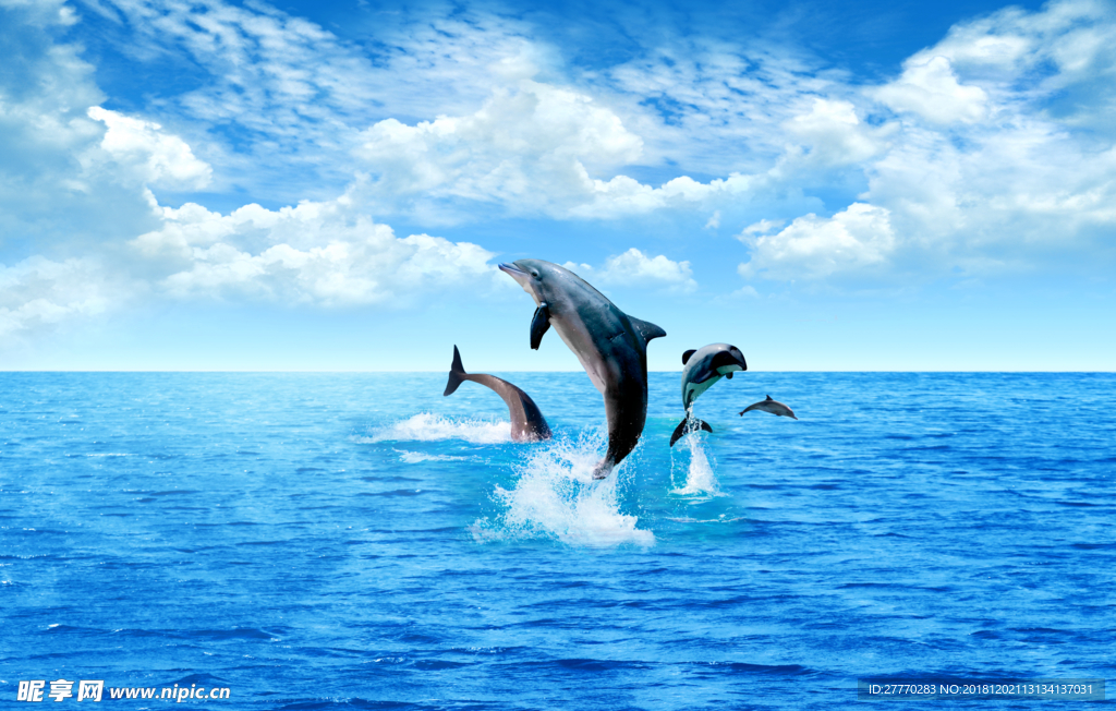 海豚大海背景墙