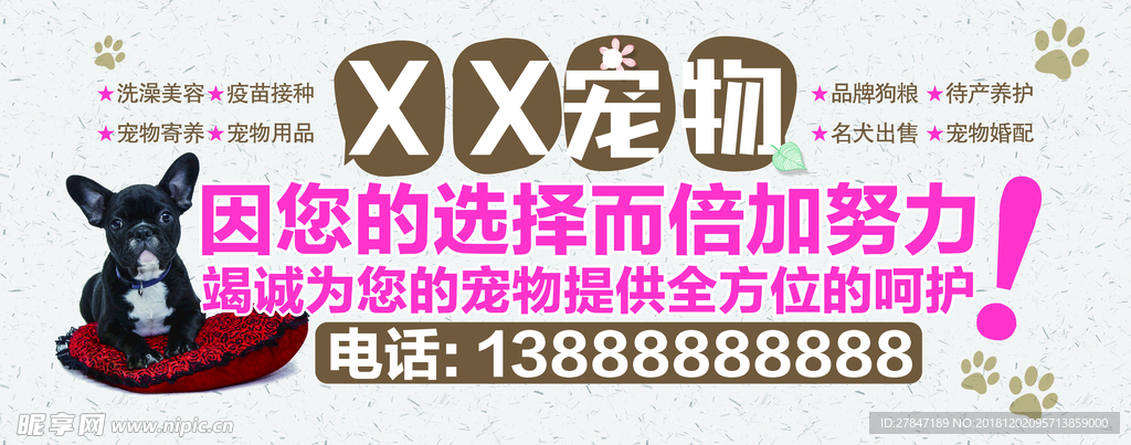 宠物车贴