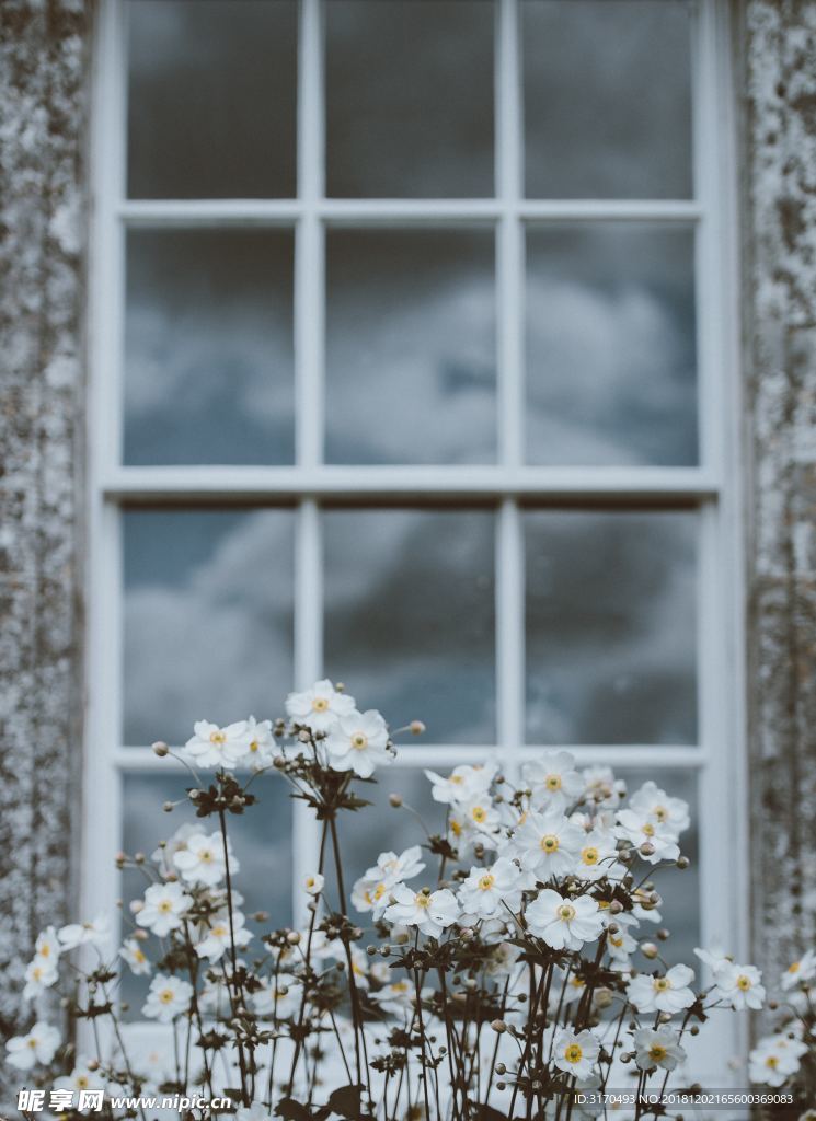 窗花