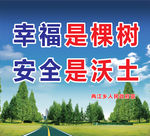安全树