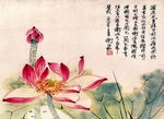 国画 荷花
