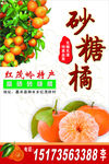 砂糖橘