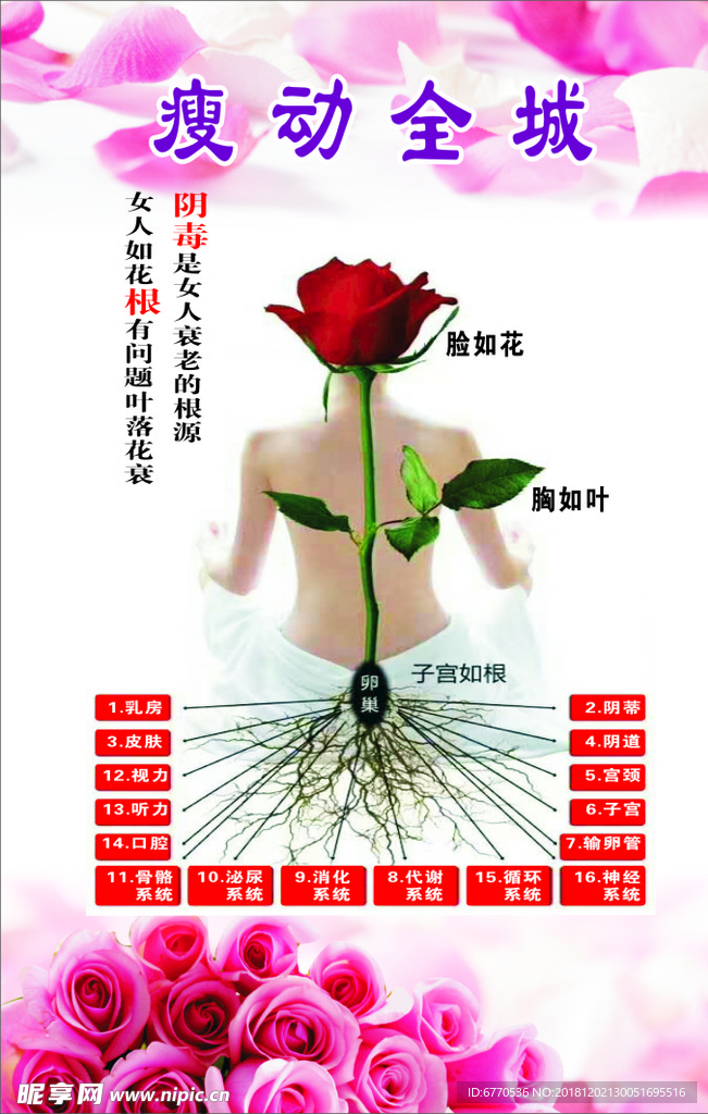 女人如花