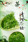 绿茶海报