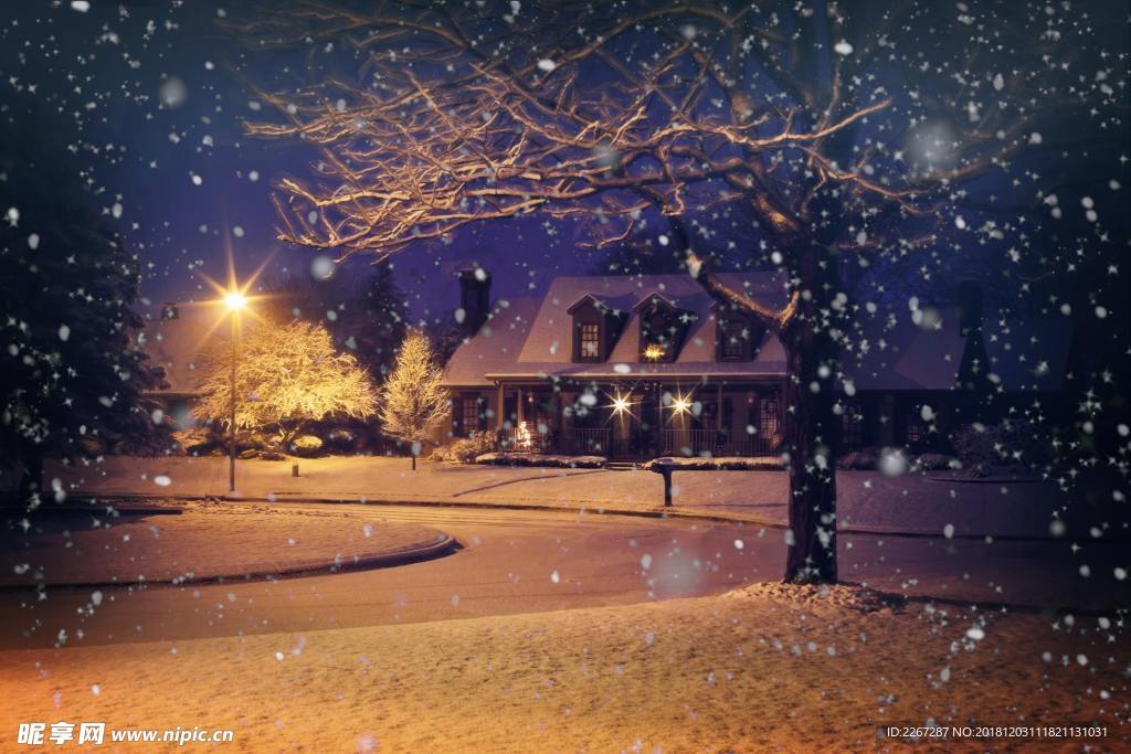 唯美雪夜背景图 飘落的雪花