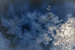 圣诞高清图 唯美背景 雪晶璀璨