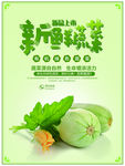 新鲜蔬菜