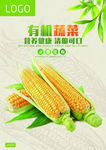 玉米