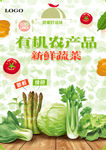 蔬菜海报