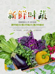 新鲜时蔬