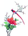 鸟语花香