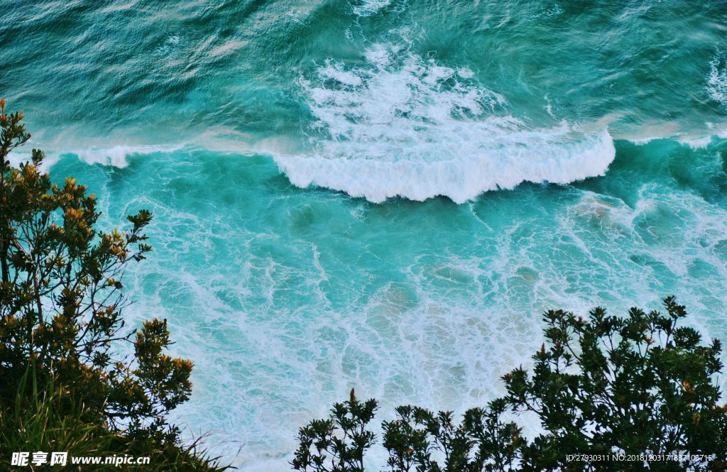 热带海水