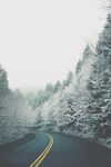 马路边的雪景