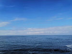 大海