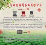 茶
