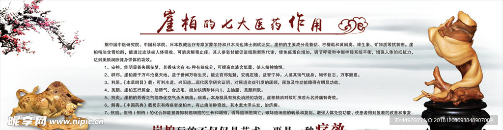 崖柏