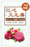 火龙果 红心 开业 清新 水果