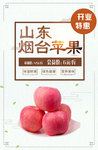 水果苹果烟台开业山东