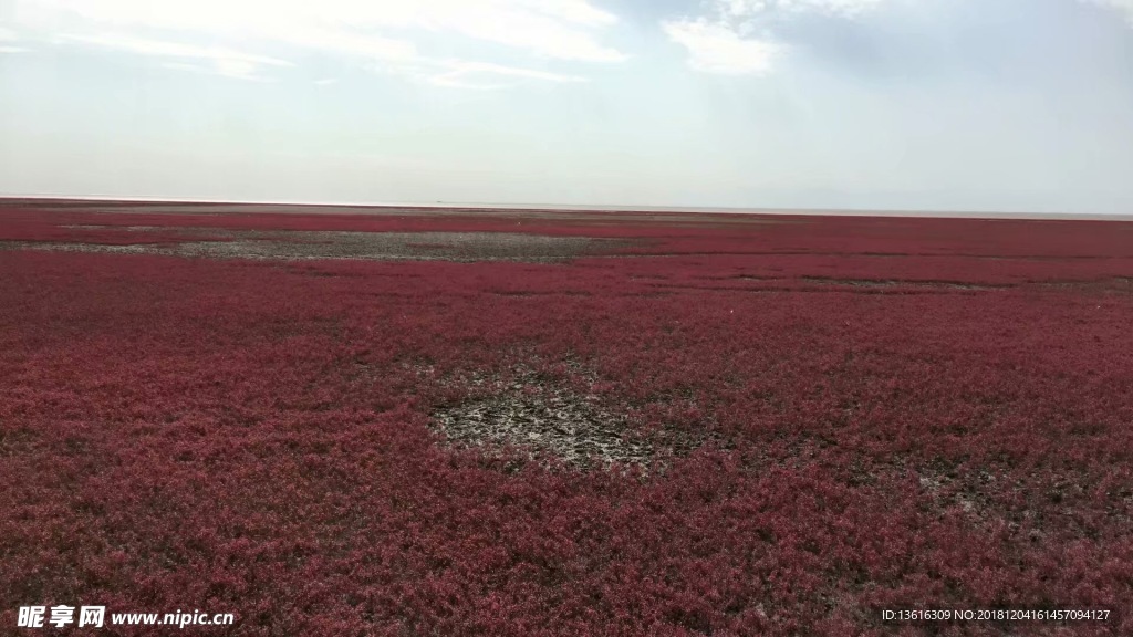 红海滩