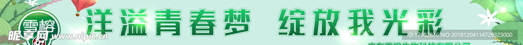 绿色横幅